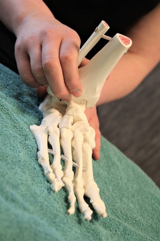 podologie voet